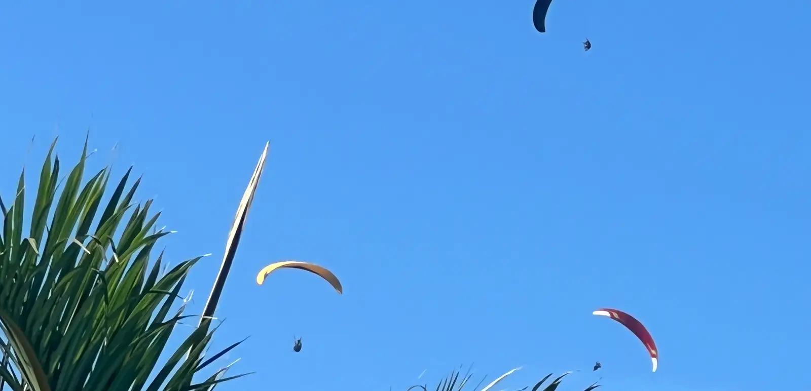 Surf à La Réunion, kitesurf à Maurice : spots et saisons