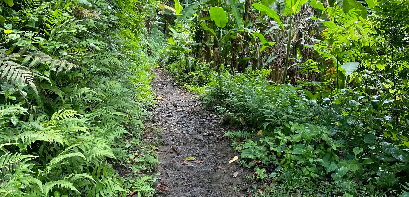 Grand Raid Réunion : Diagonale des Fous