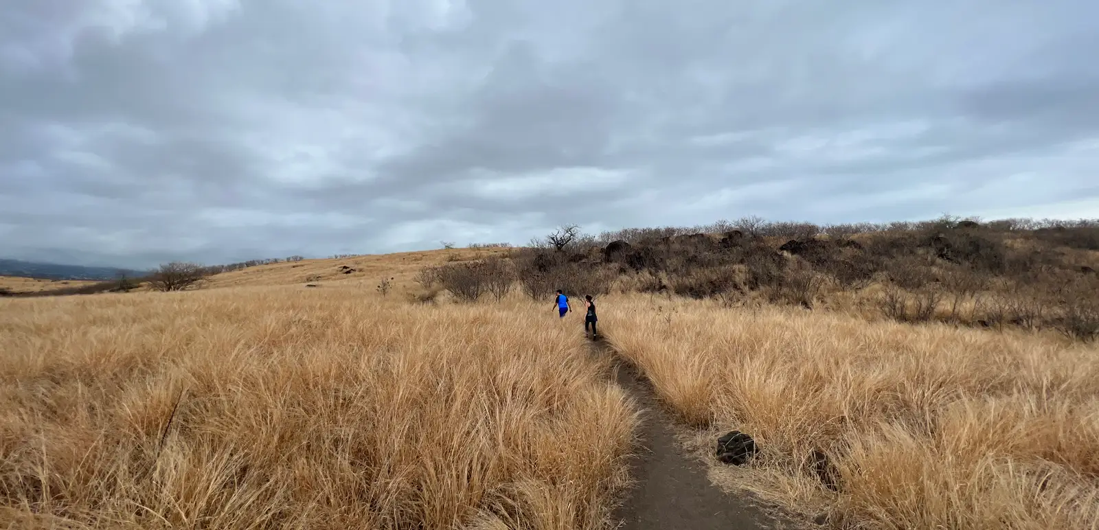 Randonnée Piton de la Fournaise : itinéraire et conseils
